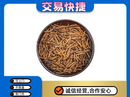 南通市高价回收散虫草